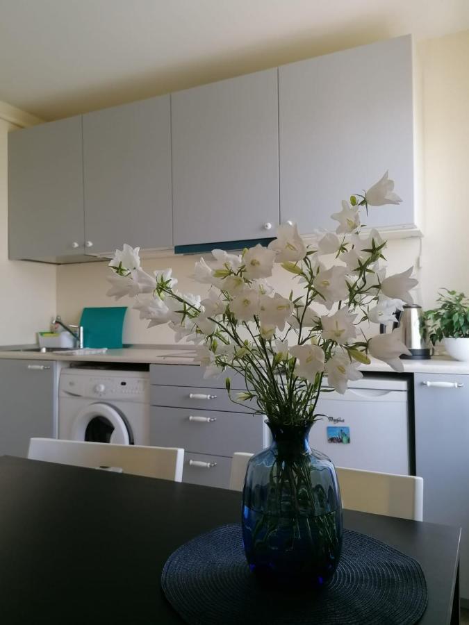 Apartment Anna Saldus Bagian luar foto